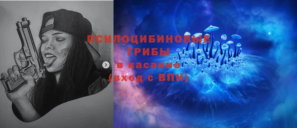 spice Карталы