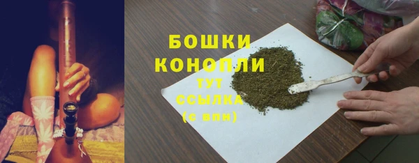 дживик Козельск