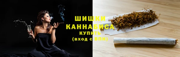дживик Козельск