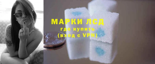 дживик Козельск