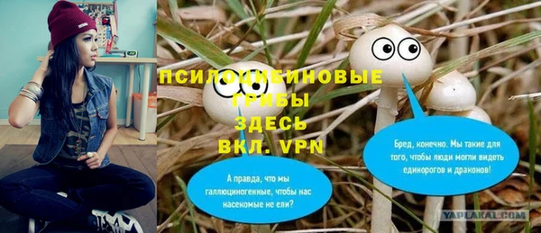 хмурый Карпинск