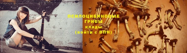 хмурый Карпинск