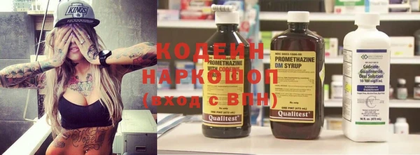дживик Козельск